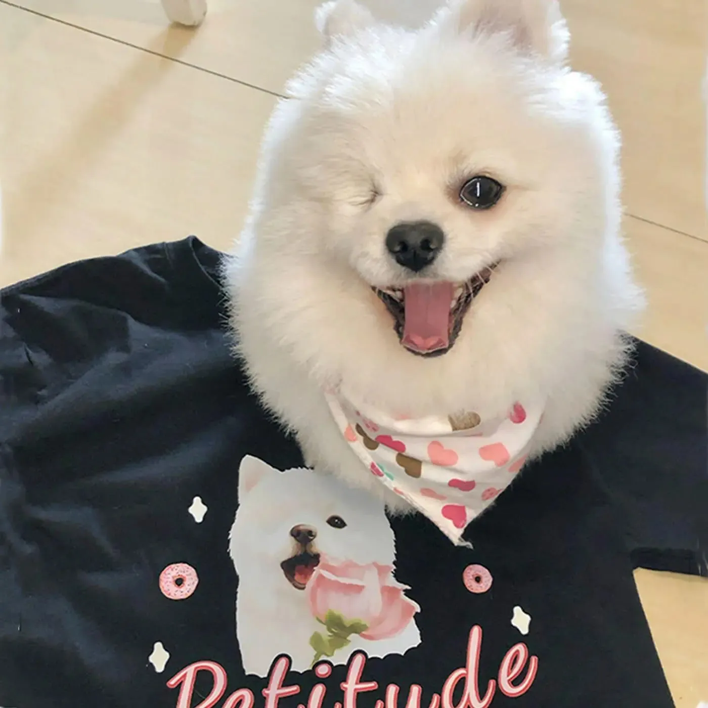 Customized pure cotton short-sleeved T-shirt with pet pattern printing, same style for men and women|Personalized pet print T-shirt